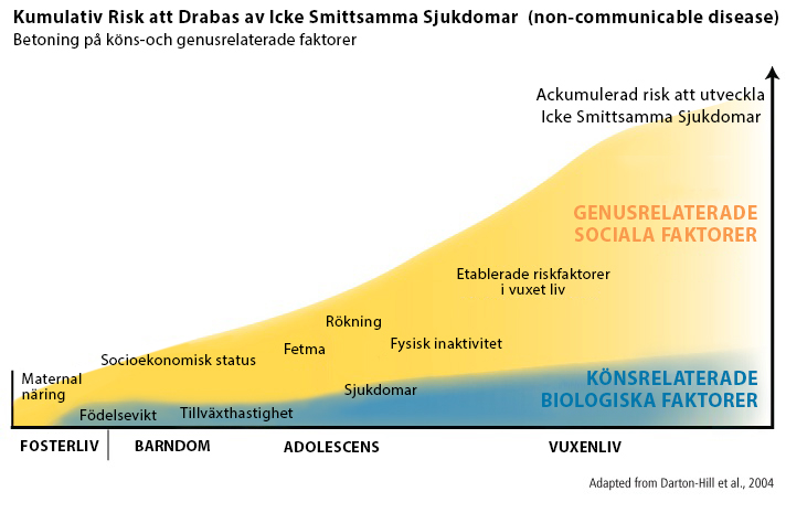 Cumulative Life Course risk factors for Non-communicable Disease (NCD)