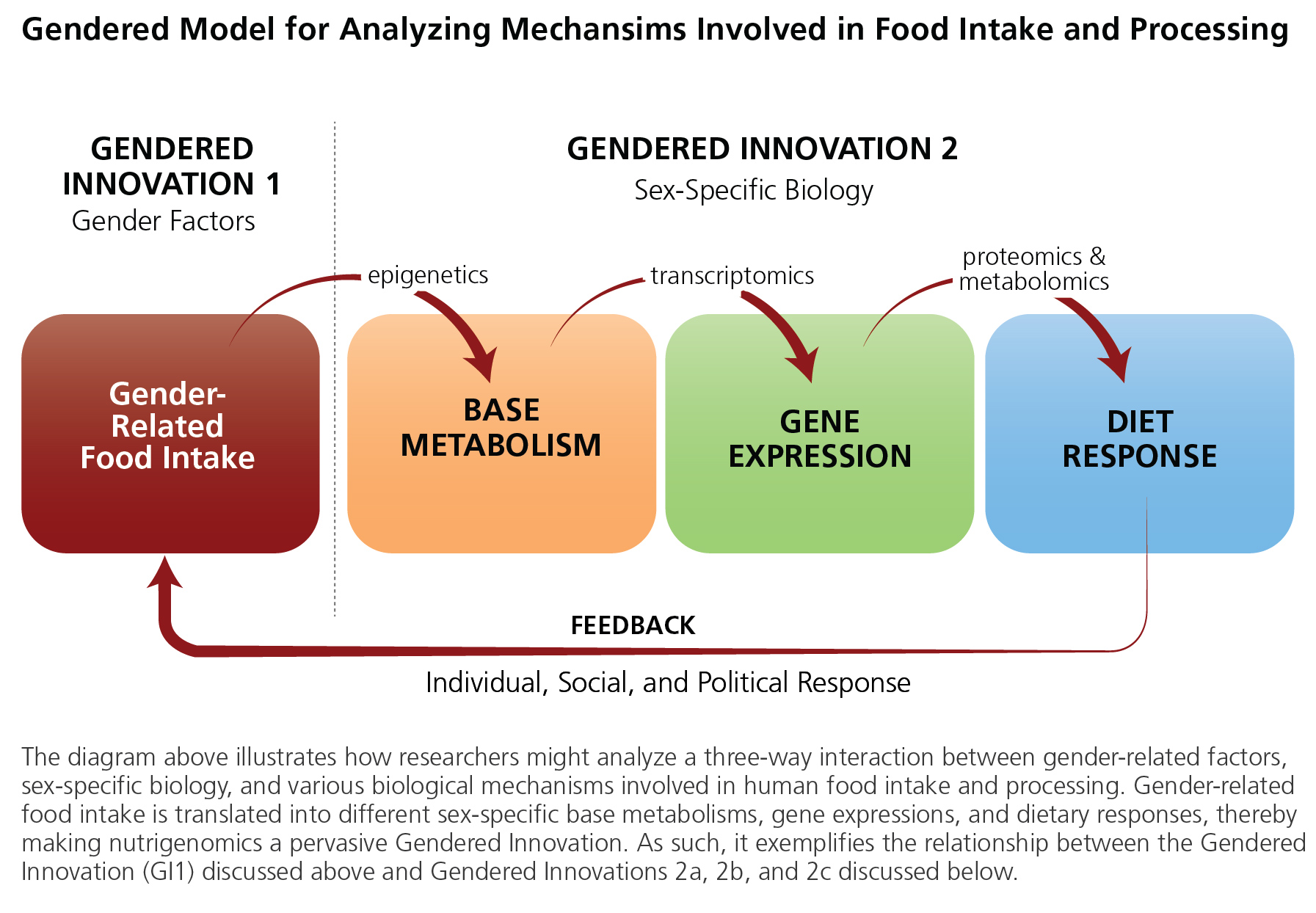 chart 4 of nutrigenomics